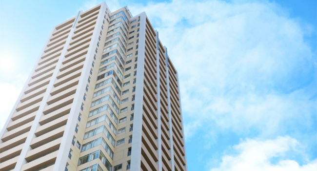 �������[���}���V�����������ł̉ېőΏ�